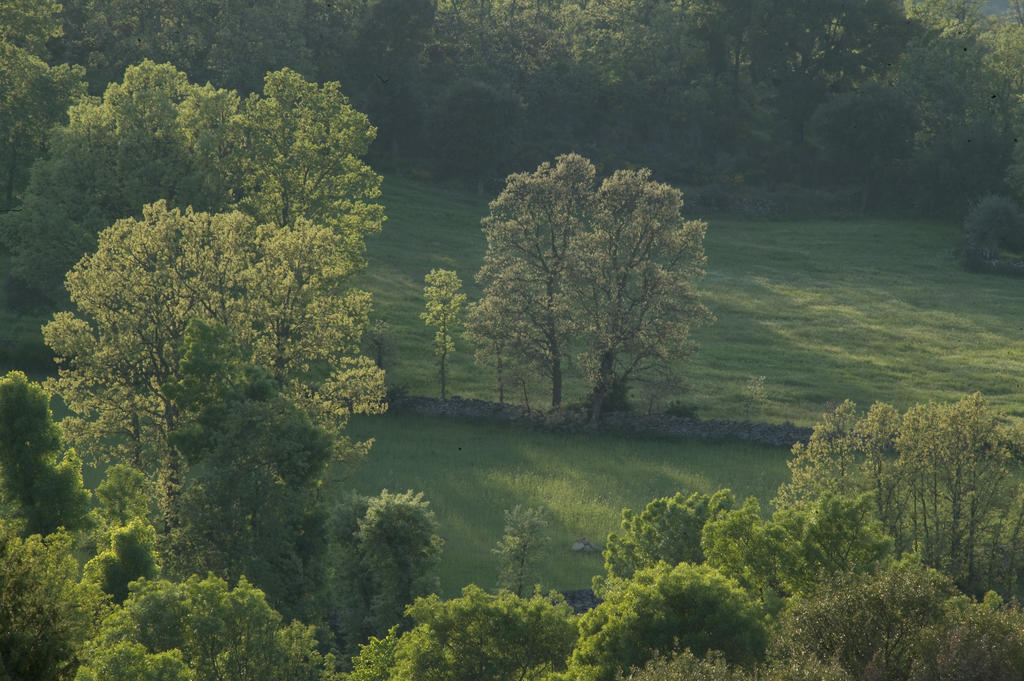 La Casa De Los Arribes Fornillos de Fermoselle Dış mekan fotoğraf