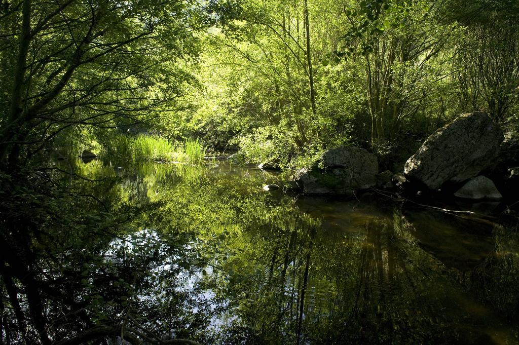 La Casa De Los Arribes Fornillos de Fermoselle Dış mekan fotoğraf